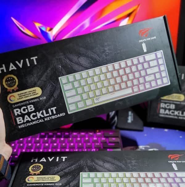 Clavier Havit Kb881l